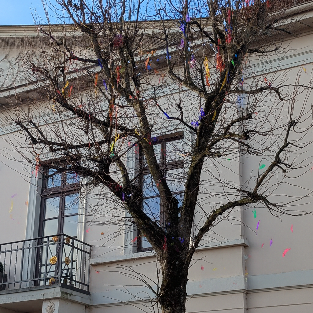 Umweltverschmutzung durch Konfetti vor Standesamt und Hochzeitslocation.